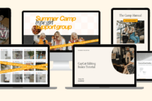 Design Biz Academy – Summer Sales Camp Download