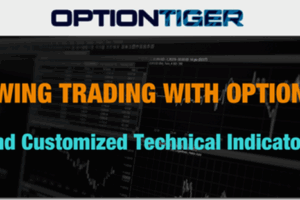 Option Tiger – SwingTradeMAX Download