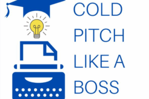 Liz Heflin – Cold Pitch Like a Boss Download
