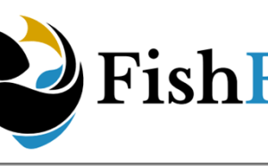 FishFX – The Ultimate Swing Trading Blueprint Download