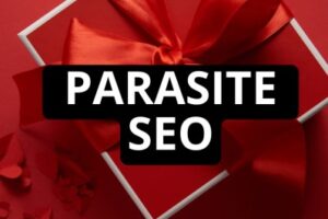 Jesper Nissen – Parasite Seo Course Download
