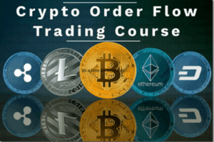 OrderFlows – Crypto Order Flow Trading Course – Mike Valtos Download
