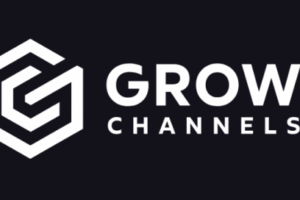 Razvan Paraschiv – Grow Channels Accelerator Download
