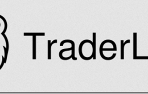 TraderLion – Advanced Earnings Gap Strategies Download